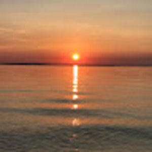 Meet your Posher, Cathy